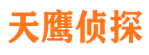 岭东侦探公司